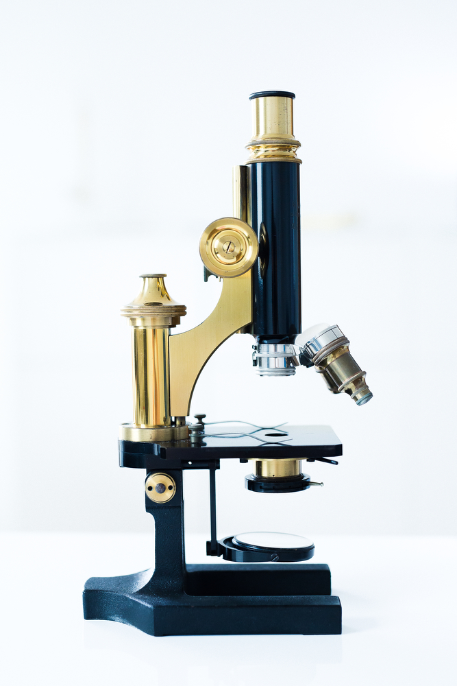 Mikroskop in Praxis in Hohenstein-Ernstthal